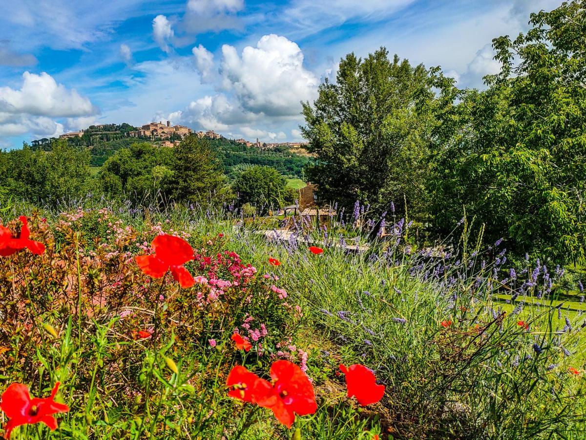 Fonte Martino Guest House & Estate Montepulciano Stazione Esterno foto